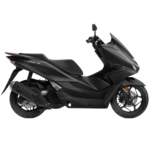 BMW F1250GS